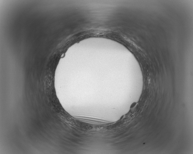 X0000082731447200702161855