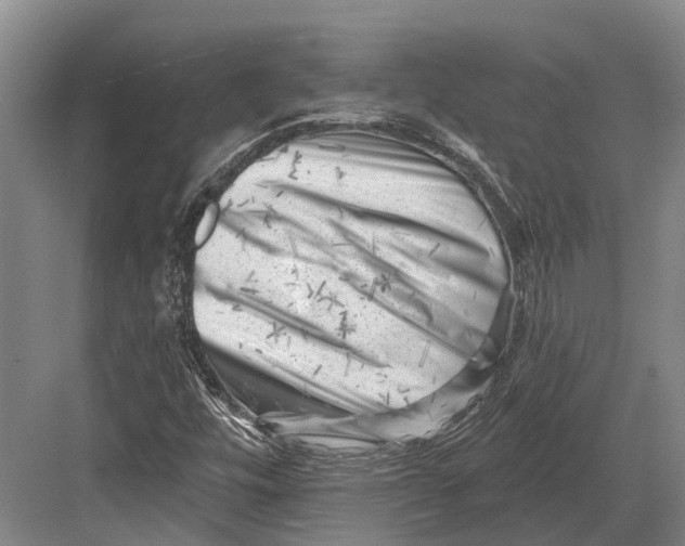 X0000082731448200702161855