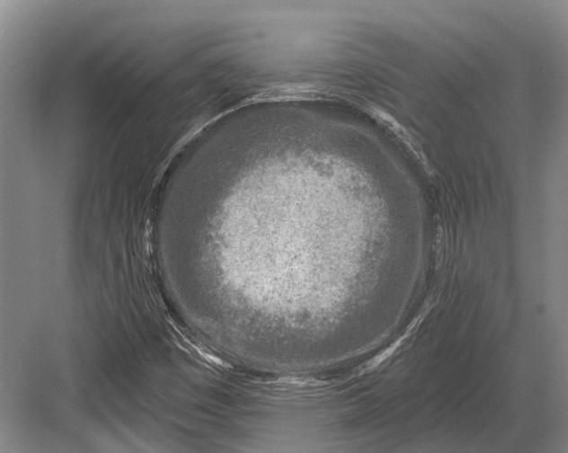 X0000082731449200702161855