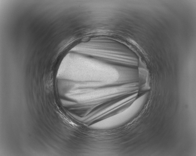 X0000082731450200702161855