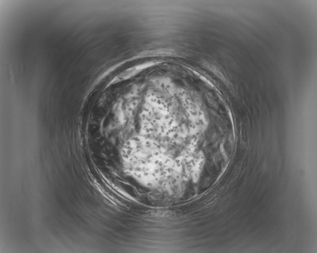 X0000082731452200702161855