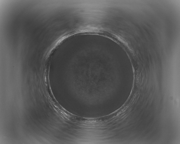 X0000082731455200702161855