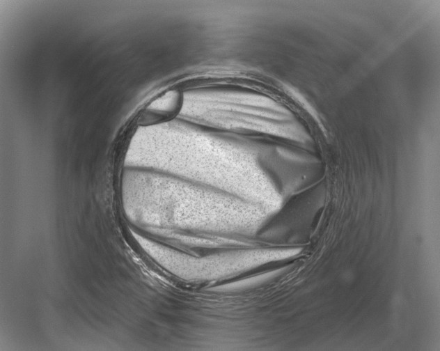 X0000082731456200702161855