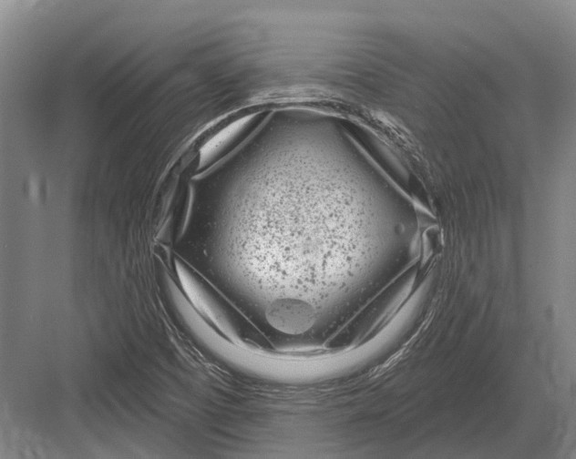 X0000082731457200702161855