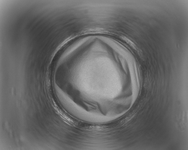 X0000082731458200702161855