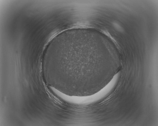 X0000082731459200702161855