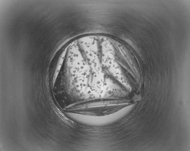 X0000082731460200702161855