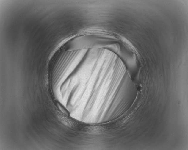 X0000082731461200702161854