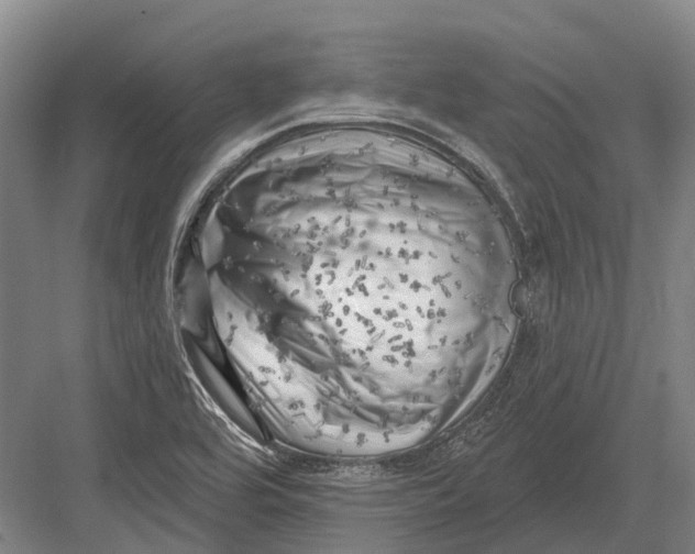 X0000082731464200702161854