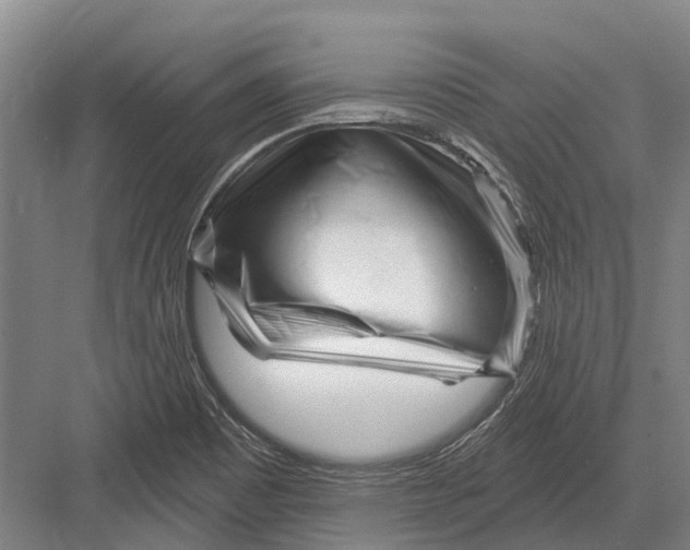 X0000082731465200702161854