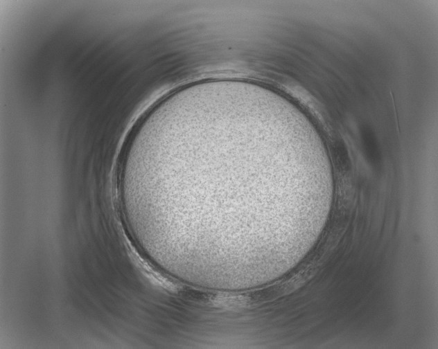 X0000082731466200702161854