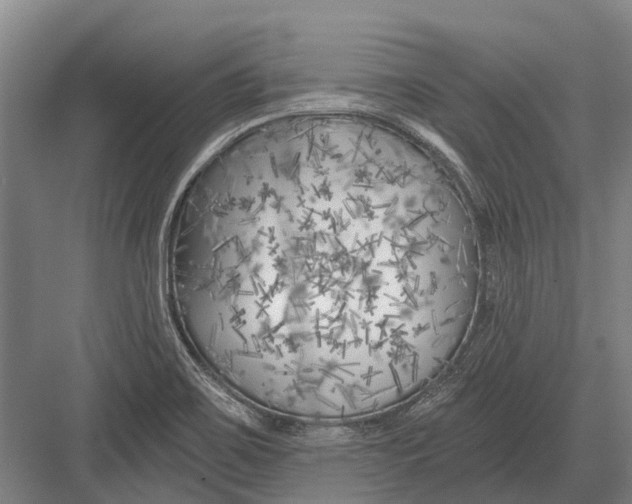 X0000082731467200702161854