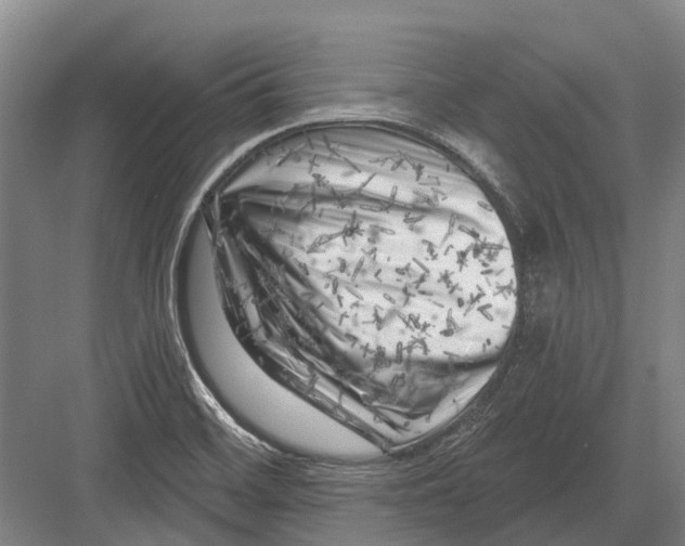 X0000082731468200702161854