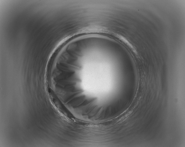 X0000082731469200702161854