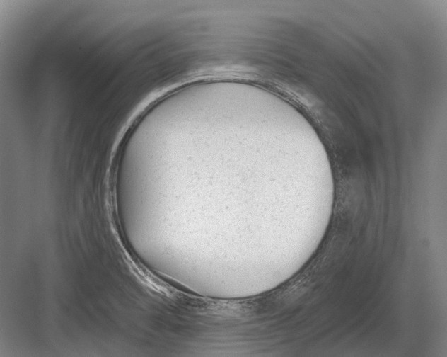 X0000082731470200702161854