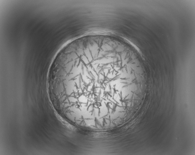 X0000082731471200702161854