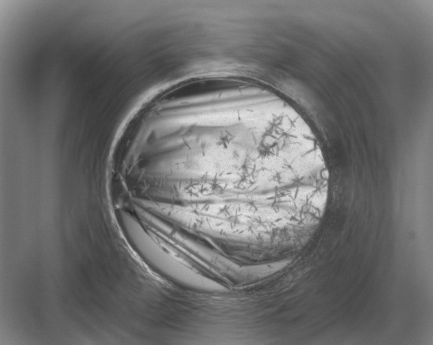 X0000082731472200702161854