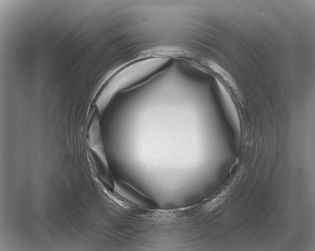 X0000082731473200702161854