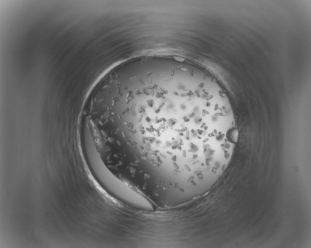 X0000082731476200702161854