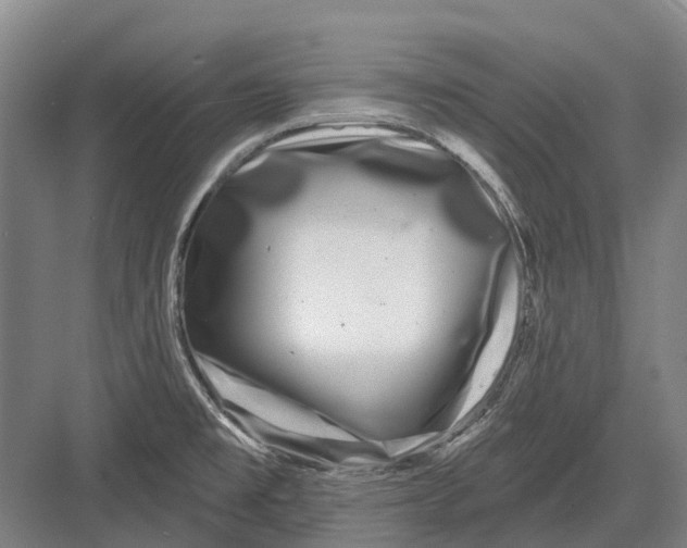 X0000082731477200702161854