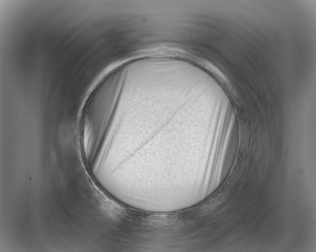 X0000082731478200702161854