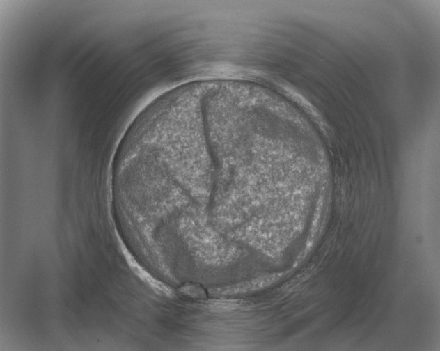 X0000082731479200702161854