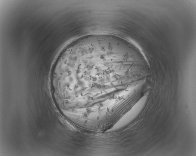 X0000082731480200702161854