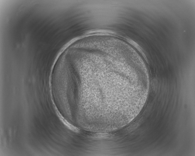 X0000082731482200702161854