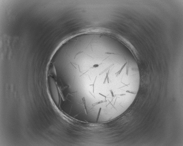 X0000082731483200702161854