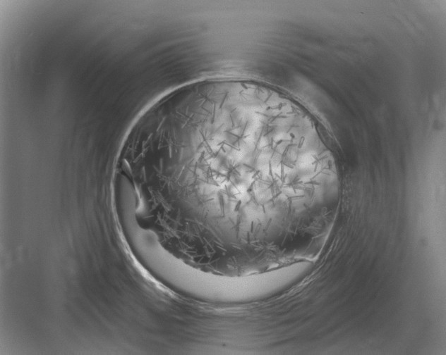 X0000082731484200702161854