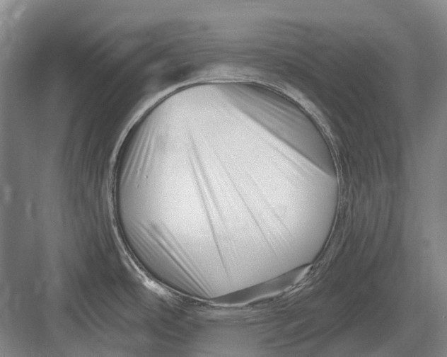 X0000082731486200702161854