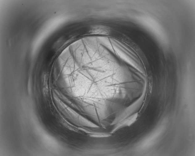 X0000082731487200702161854