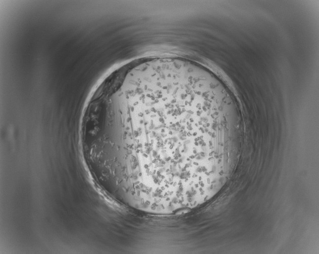 X0000082731488200702161854