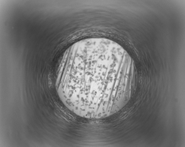 X0000082731490200702161853