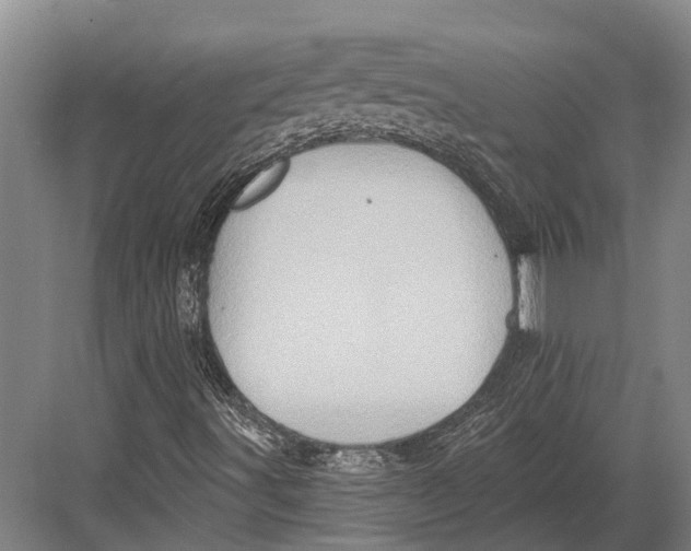 X0000082731491200702161853