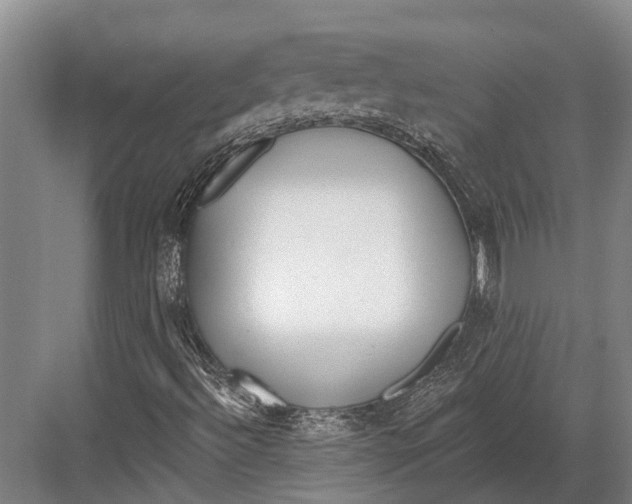 X0000082731492200702161853