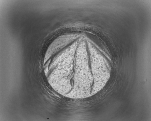 X0000082731493200702161853