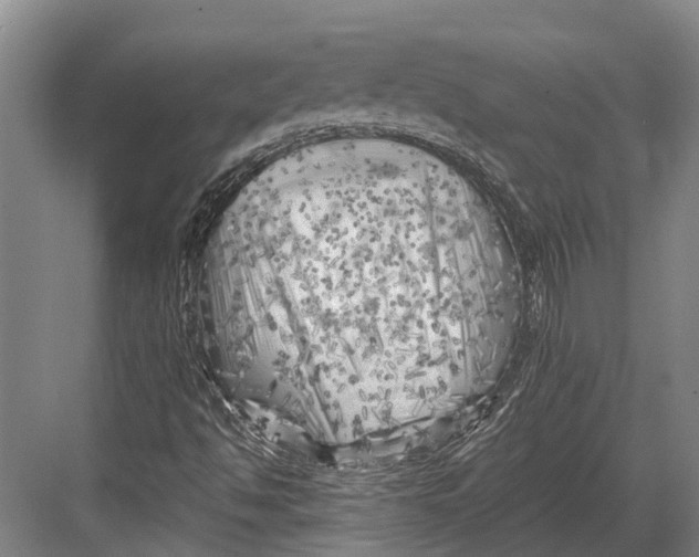 X0000082731494200702161853