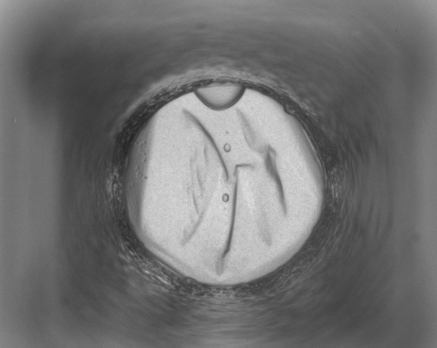 X0000082731495200702161853