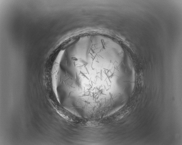 X0000082731496200702161853