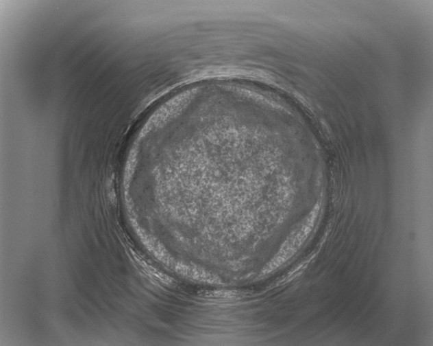 X0000082731497200702161853