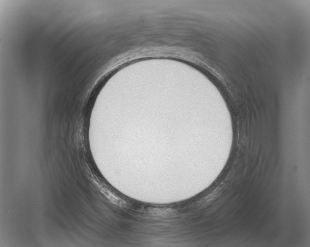 X0000082731498200702161853