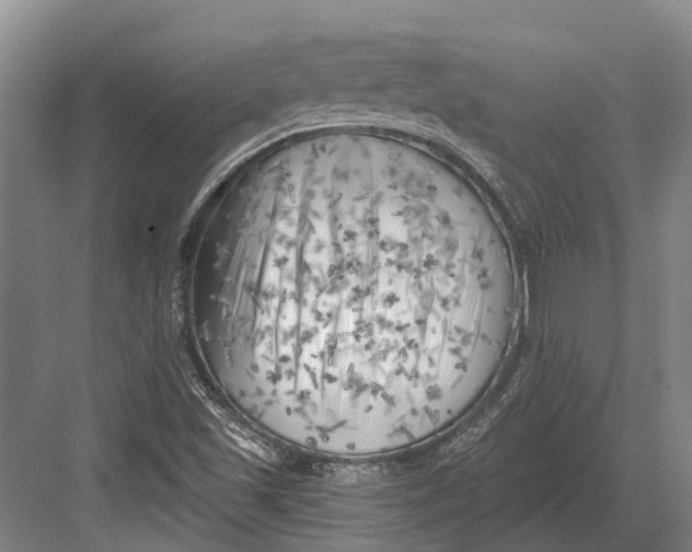 X0000082731501200702161853