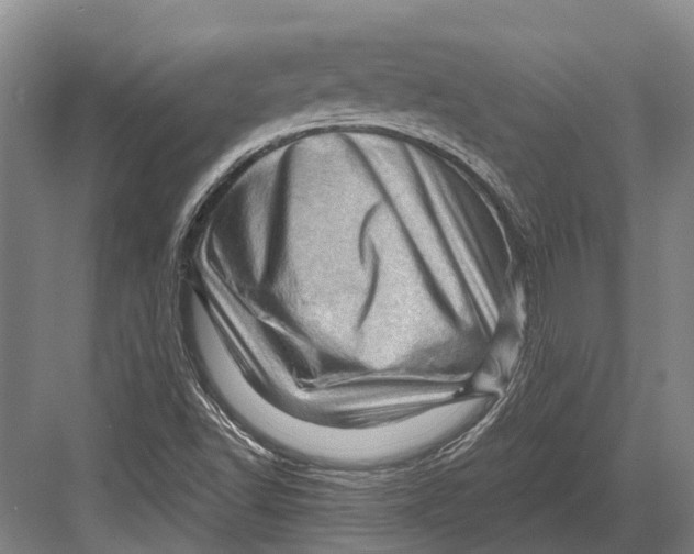 X0000082731502200702161853