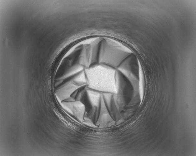 X0000082731503200702161853