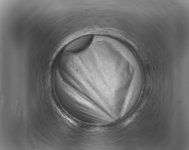 X0000082731506200702161854