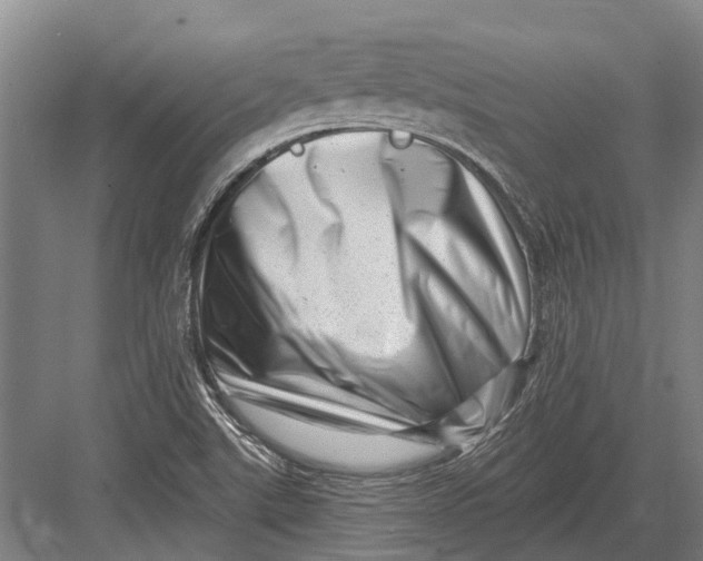 X0000082731507200702161854