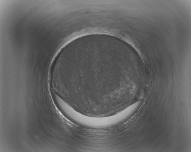 X0000082731508200702161854