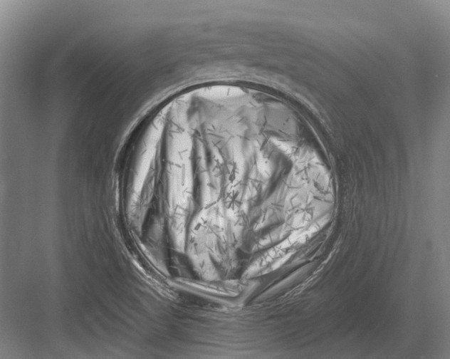 X0000082731509200702161854