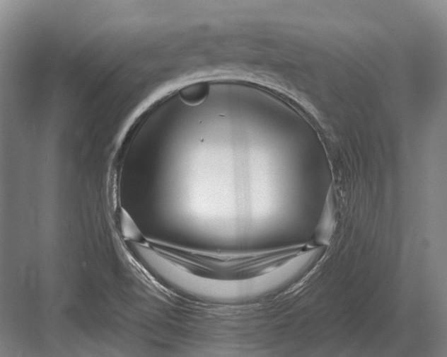 X0000082731510200702161854